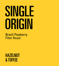 Brazil Peaberry Filter Roast